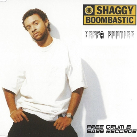 Shaggy   Boombastic