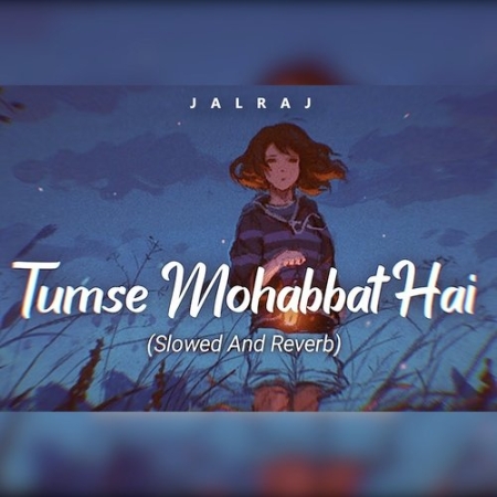 Tumse Mohabbat Hai Slowed Reverb Lofi Mix