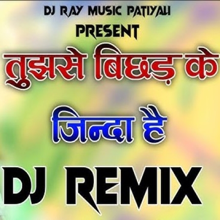 Tujhse Bichhad Kar Zinda Hai Dj Remix