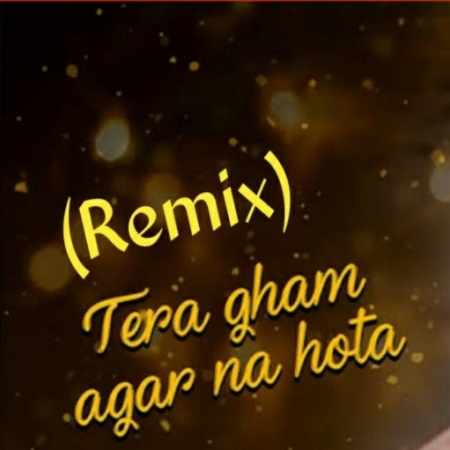 Tera Gham Agar Na Hota Dj Remix