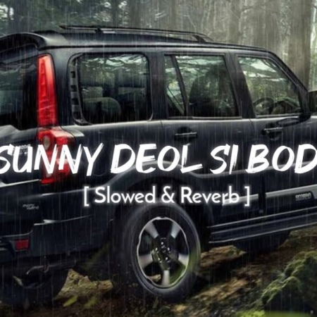 Sunny Deol Si Body Re Slowed Reverb Lofi Mix