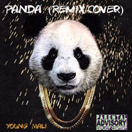 Desiigner Panda