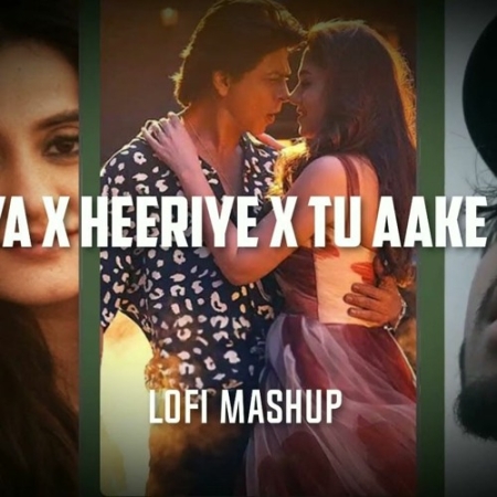 Heeriye X Chaleya X Tu Aake Dekhle Insta Mashup