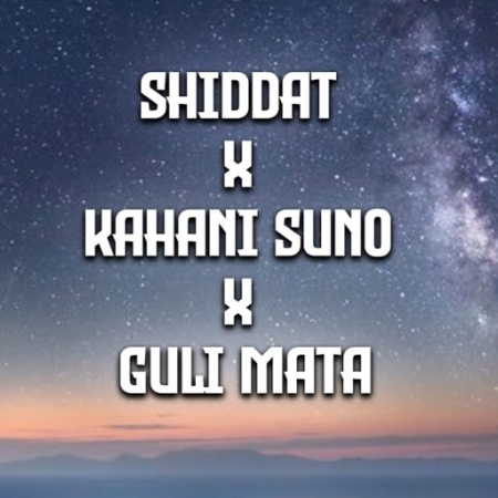 Shiddat X Kahani Suno X Guli Mata